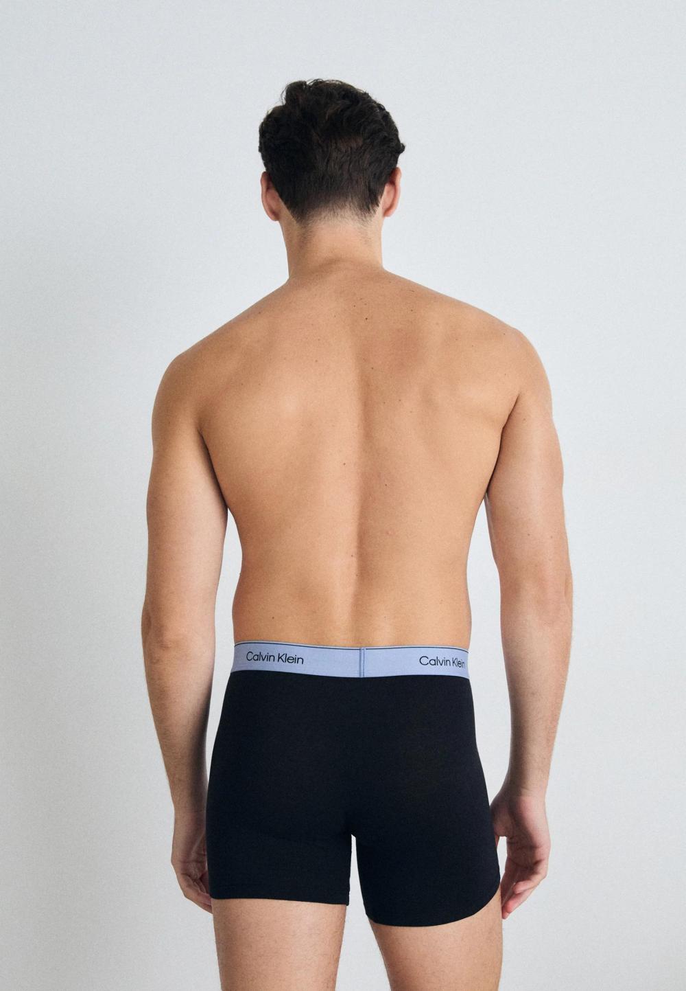 Calvin Klein Underwear Cotton Stretch Boxer 3-Pack B-Zoni Beach - Troposphere - Ash Wbs - Afbeelding 3