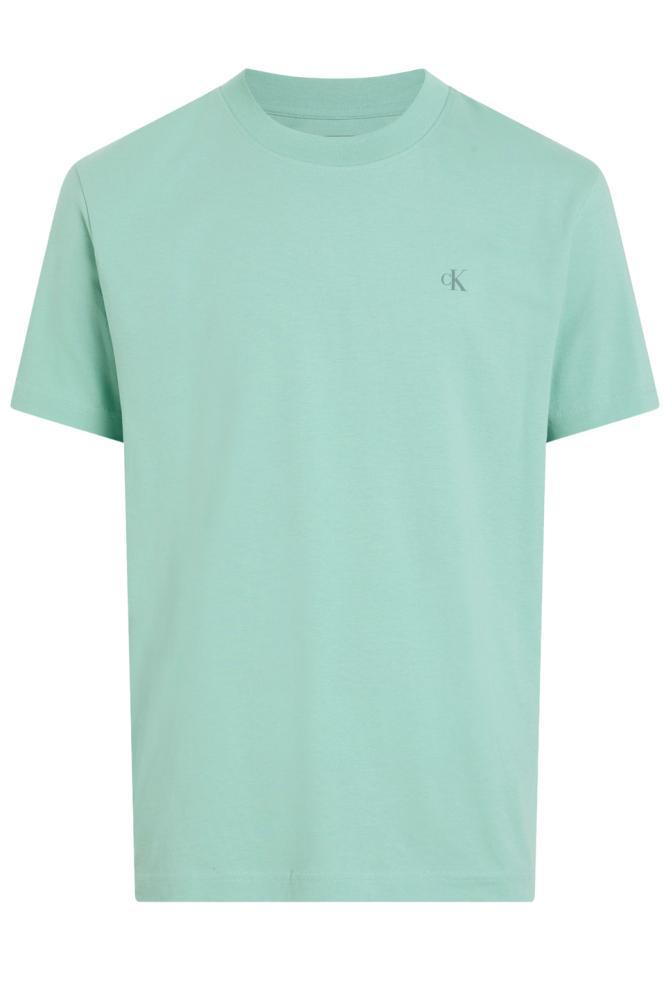 Calvin Klein Jeans Painted Calvin Klein T-shirt Fresh Mint - Afbeelding 4