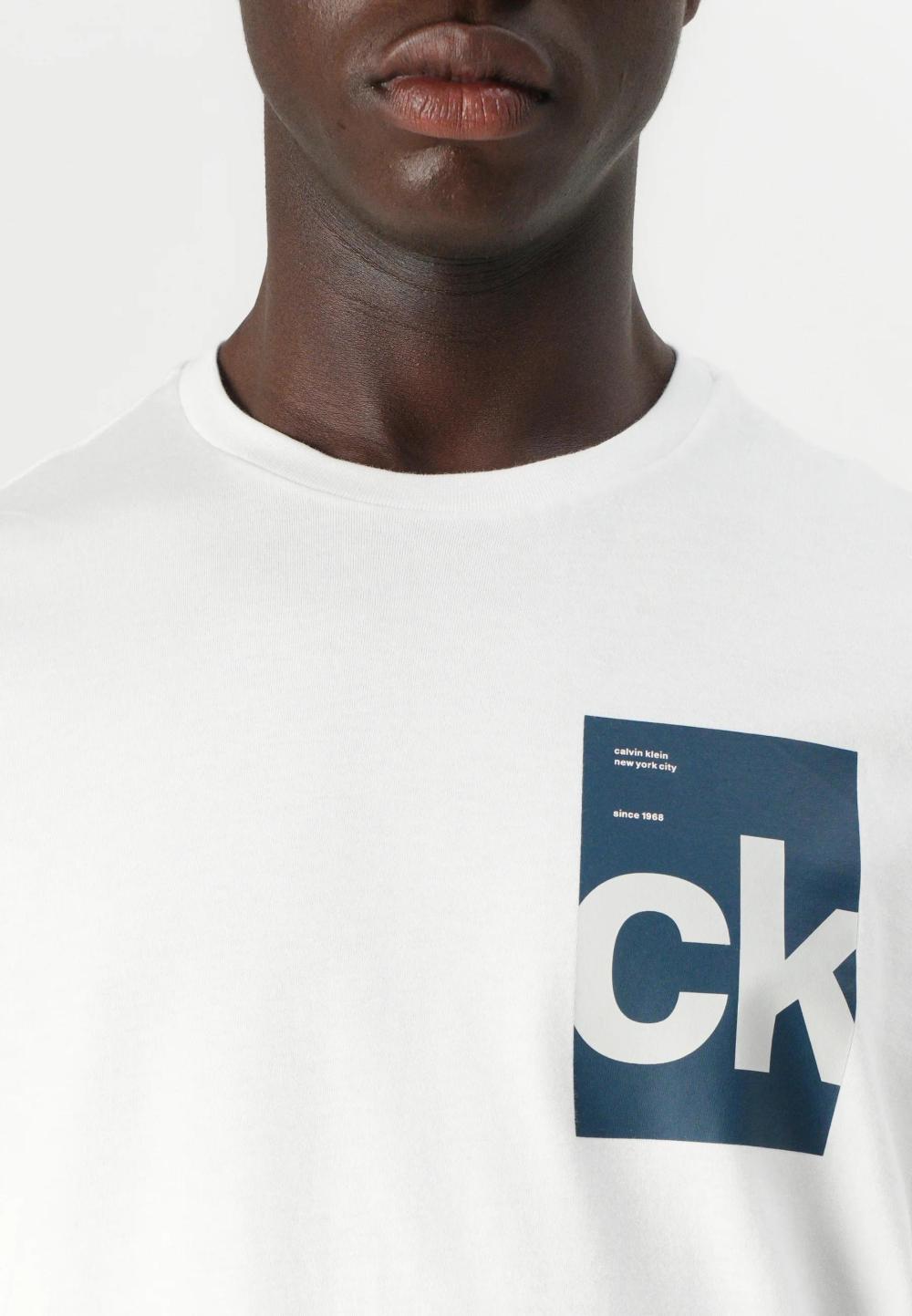 Calvin Klein 30s Box Graphic T-Shirt Brilliant White - Afbeelding 4